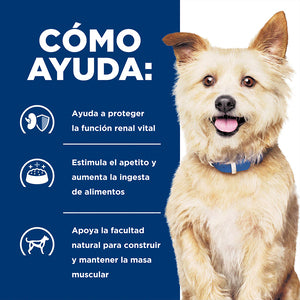 Hill's Prescription Diet k/d Kidney Care (Cuidado de los Riñones) Alimento húmedo para perros con estofado de carne y verduras, dieta veterinaria