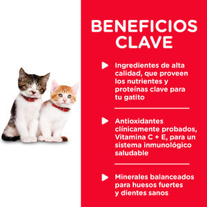 Hill's Science Diet, Kitten Healthy Cuisine, Alimento en lata para Gatitos, Receta de Pollo y Arroz (lata de 80 gramos)