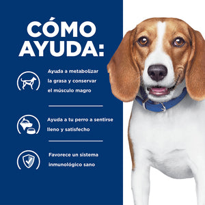 Hill's Prescription Diet r/d (Perdida de Peso) Alimento seco para Perros con Sabor a Pollo