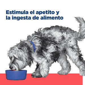 Hill's Prescription Diet ONC Care (Atención Oncológica) Alimento seco para Perros, Pollo, Dieta Veterinaria