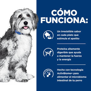 Hill's Prescription Diet ONC Care (Atención Oncológica) Alimento seco para Perros, Pollo, Dieta Veterinaria