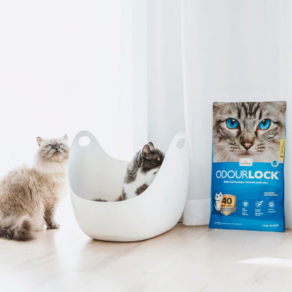 Intersand Arena aglutinante de arcilla Odour Lock para gato