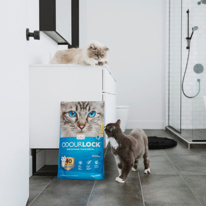 Intersand Arena aglutinante de arcilla Odour Lock para gato