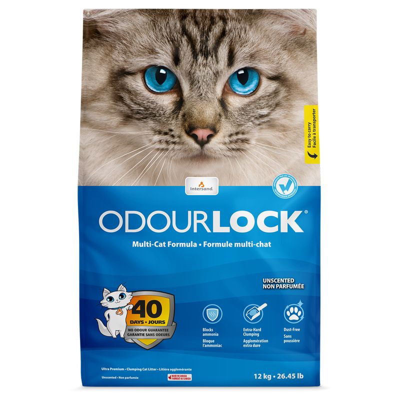 Intersand Arena aglutinante de arcilla Odour Lock para gato