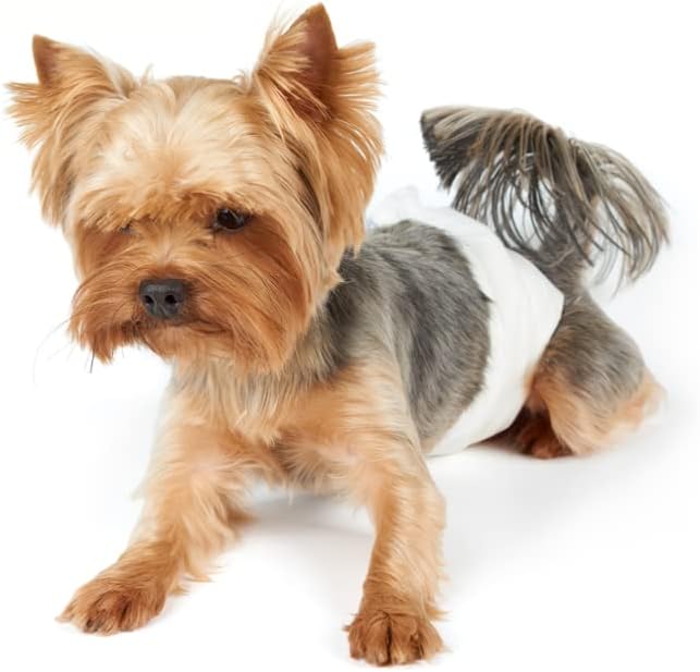 Fancy Pets Pañales para Perro Talla Extra Chico con 12 Piezas - Petopia