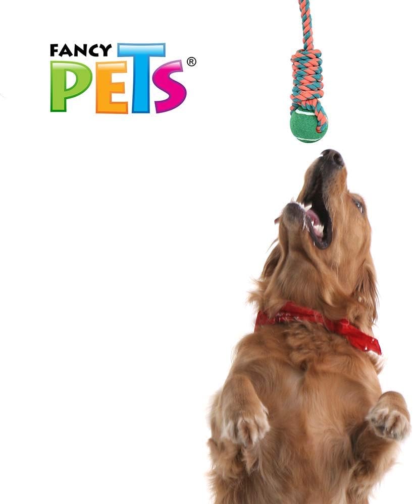 Fancy Pets Juguete de Soga con Pelota para Perro - Petopia