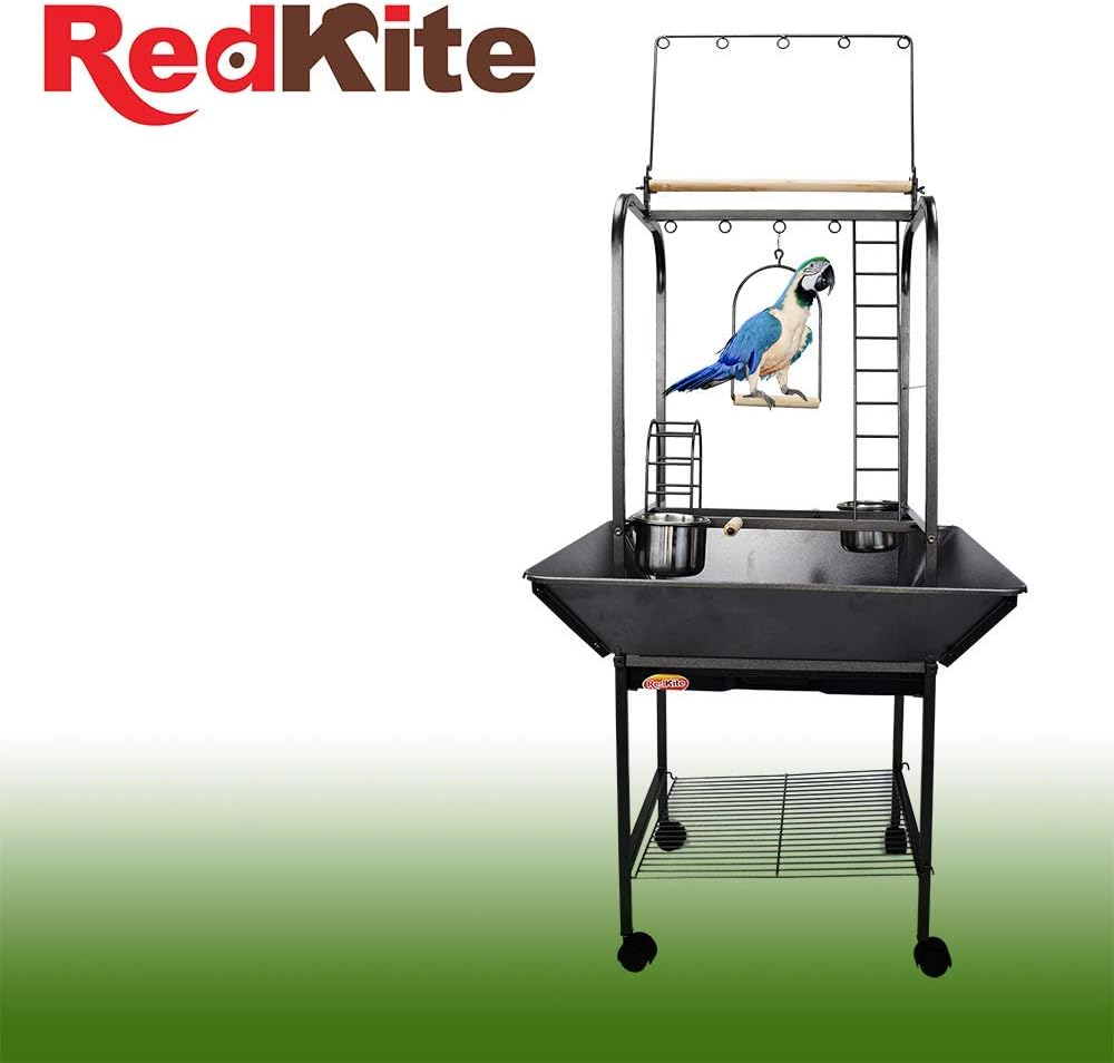 RedKite Gimnasio para loros