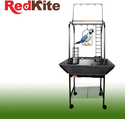 RedKite Gimnasio para loros