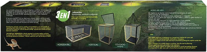 Reptilario Para Baños de Sol, Reptilia