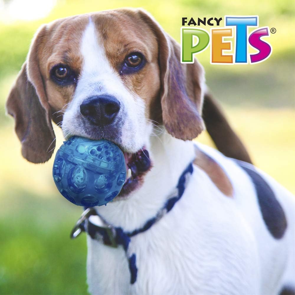 Fancy Pets Pelota de Juguete Grande con Sonido para Perro Color Azul - Petopia