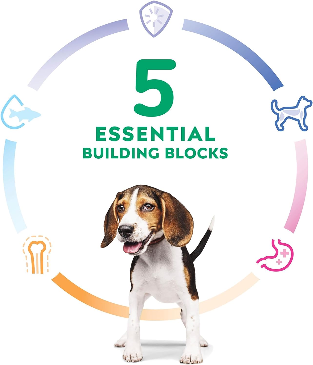 Hill's Science Diet, Alimento para Perro Puppy (Cachorro) Receta Original, Croquetas