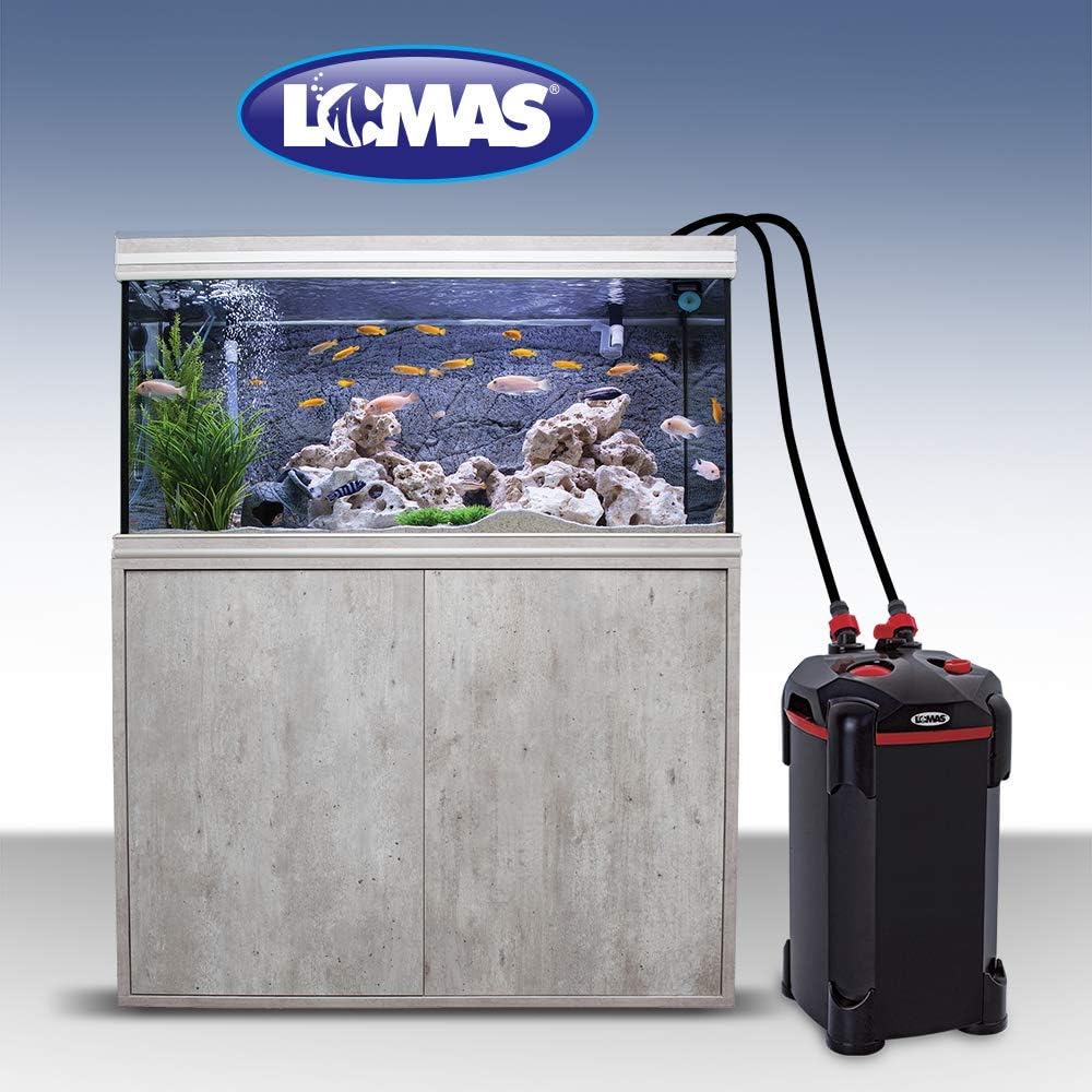 Filtro Externo Canister Aquajet Lomas