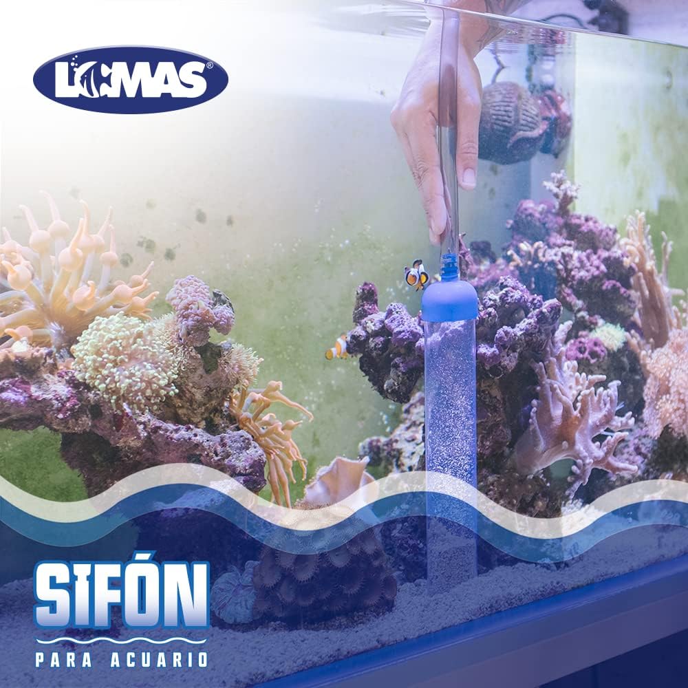 Lomas, Sifón para Acuario