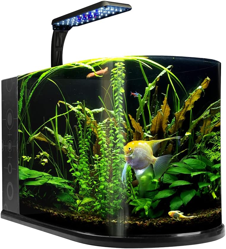 Lomas Acuario Nano Bullet