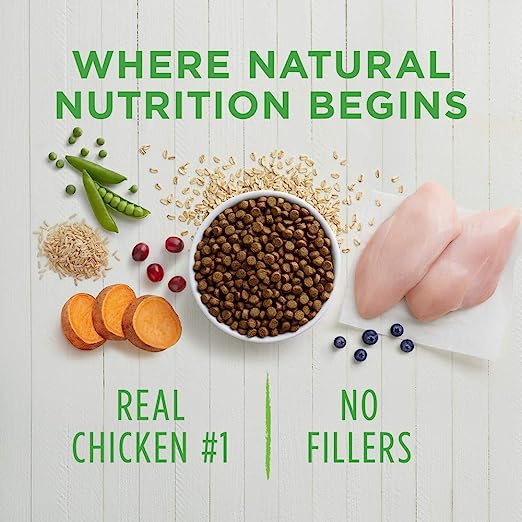 Instinct Be Natural Receta de Salmón Para Perros - Petopia
