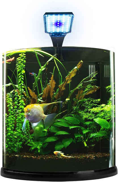 Lomas Acuario Nano Bullet