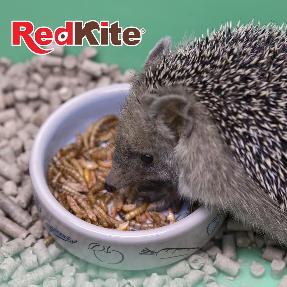 RedKite Larva De Mosca Soldado 30 grs