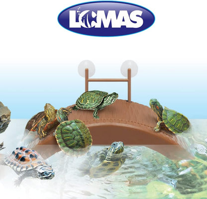 Muelle Flotante Para Tortugas, Lomas