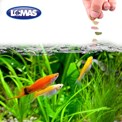 Lomas Hojuelas Básicas, 1 Kg