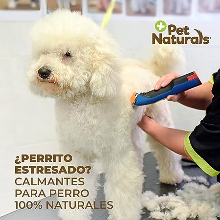 Pet Naturals Razas Chicas Calmantes Naturales de 31.5 g Para Perros - Petopia