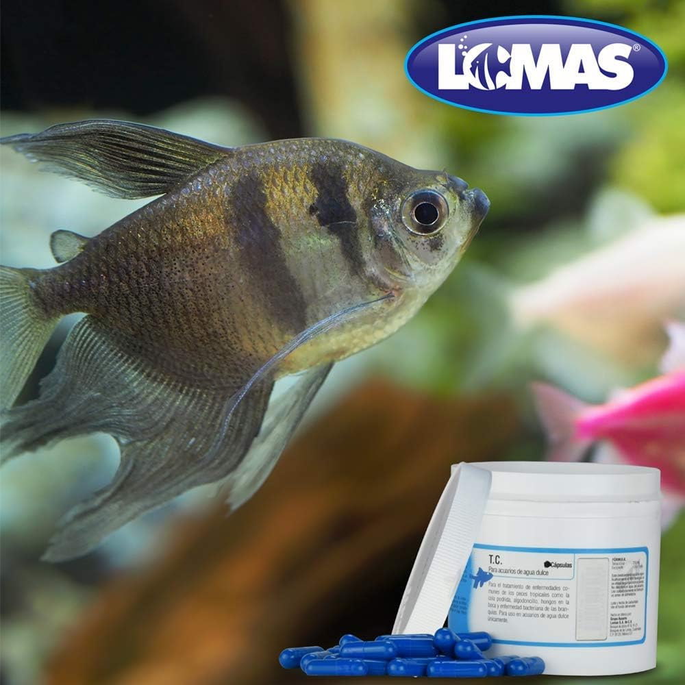 Lomas, General Cure Capsulas