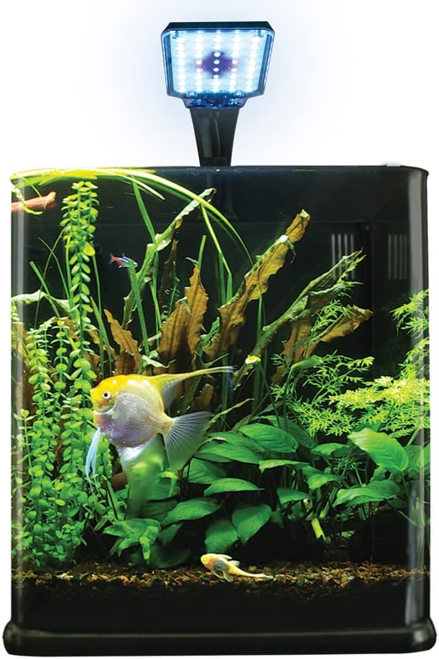 Lomas Acuario Nano Largo 14 L.