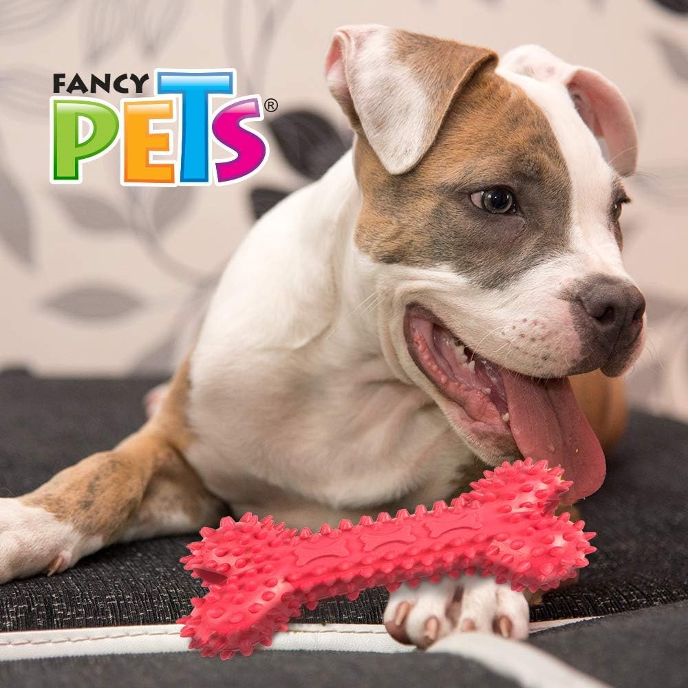 Fancy Pets Juguete en Forma de Hueso de Caucho para Perro - Petopia