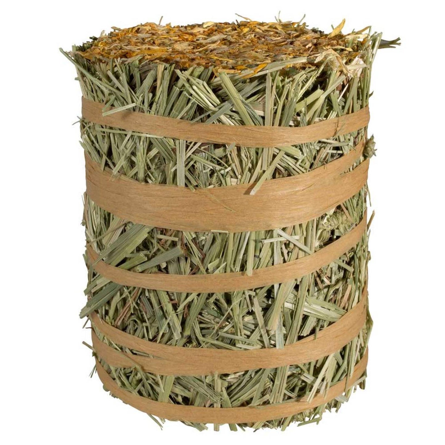 Mini Pacas Field&Forest de Pasto Timothy Gold Kaytee