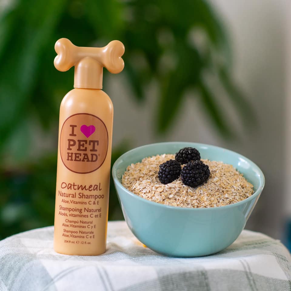 Pet Head, Shampoo Natural Oatmeal Para Perro 12 oz (354.9ml)