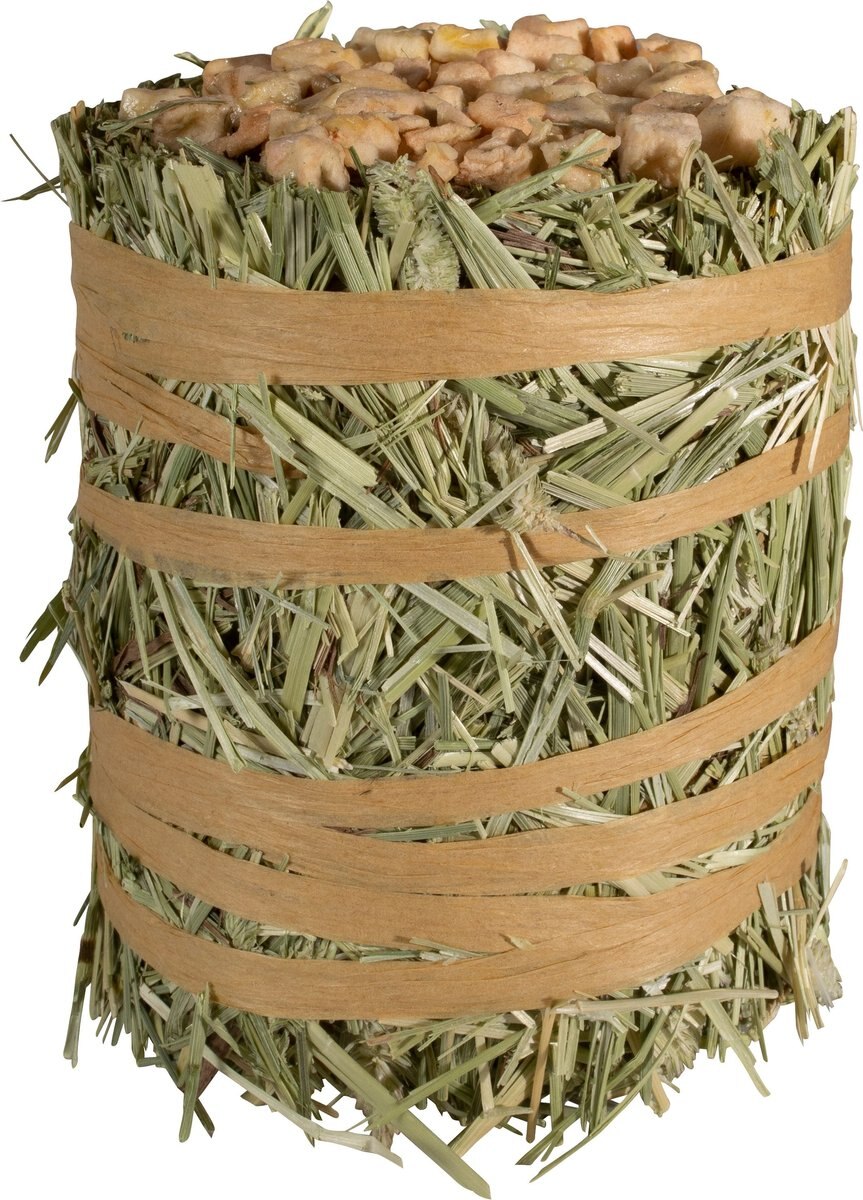 Mini Pacas Field&Forest de Pasto Timothy Gold Kaytee