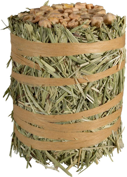 Mini Pacas Field&Forest de Pasto Timothy Gold Kaytee