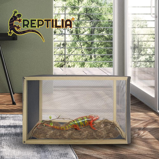 Reptilario Para Baños de Sol, Reptilia