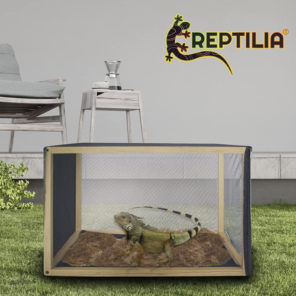 Reptilario Para Baños de Sol, Reptilia