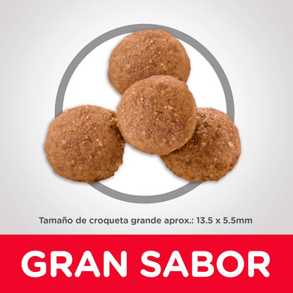 Hill's Science Diet, Alimento para Perro Puppy (Cachorro) Raza Grande, Seco (bulto)