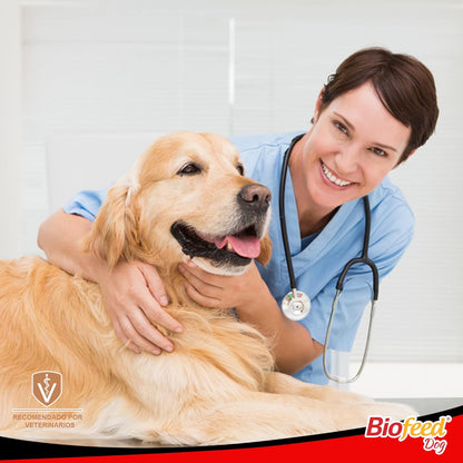 BIOFEED PERRO ADULTO RAZAS MEDIANAS Y GRANDES 20 KG