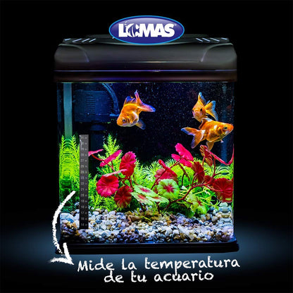 Lomas - Termómetro Externo En Blíster