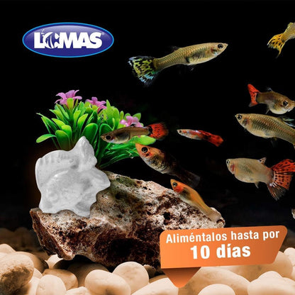 Lomas, Alimento de Vacaciones Para Peces