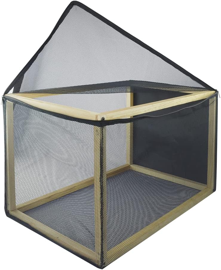 Reptilario Para Baños de Sol, Reptilia