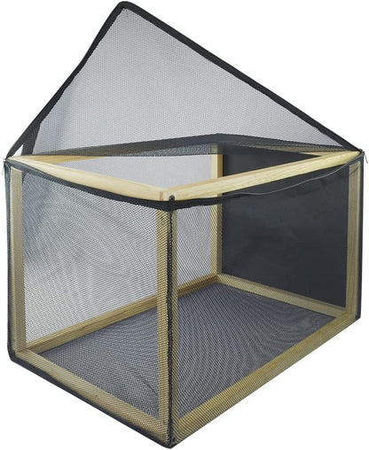 Reptilario Para Baños de Sol, Reptilia