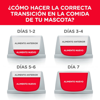 Hill's Science Diet Small Bites, Alimento Seco para Perro Adulto