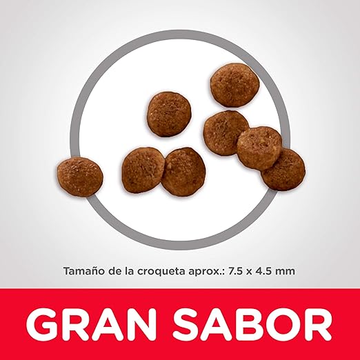 Hill's Science Diet, Alimento para Perro Puppy (Cachorro) Raza Pequeña, Seco (bulto)