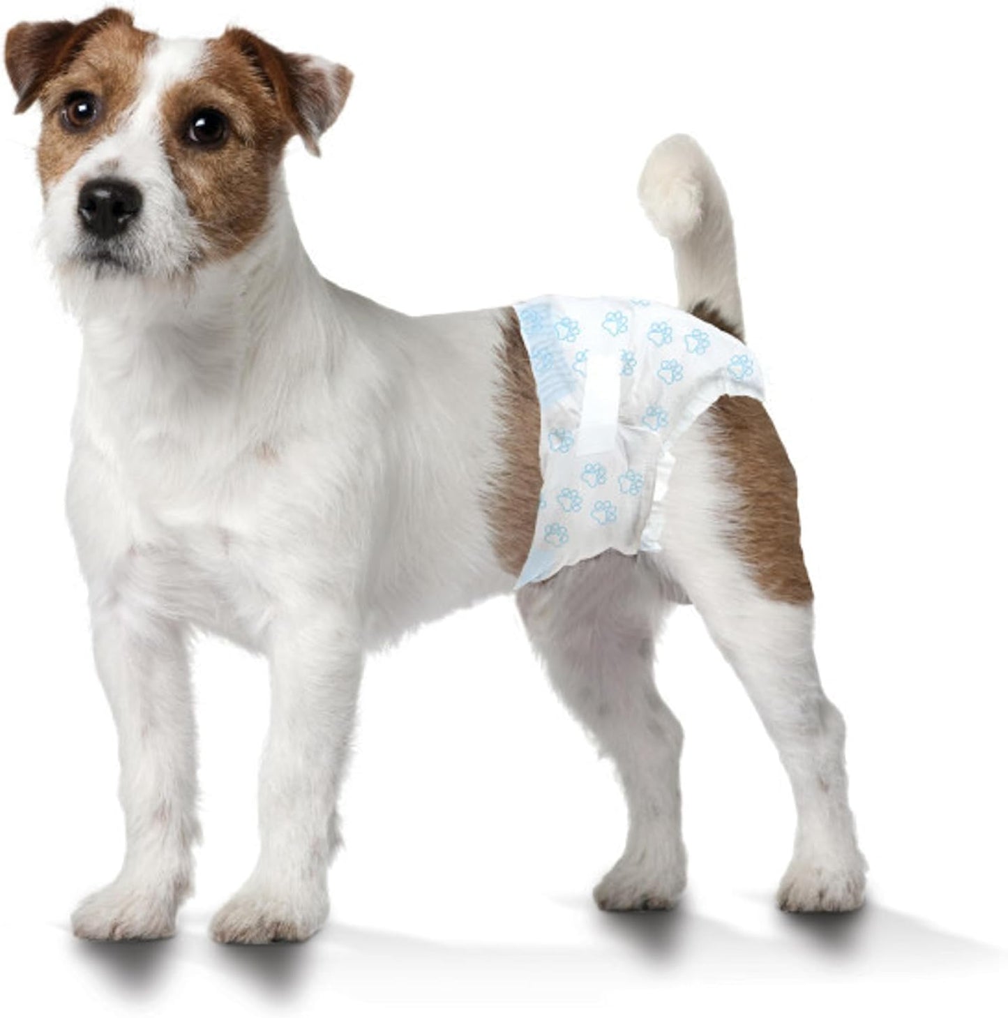 Wee-Wee Pañales con indicador de humedad para perros, talla Ch