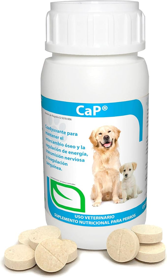 Ruiland Ca-P - Suplemento Alimenticio para Perros, Mantenimiento del Metabolismo Óseo, Regulador de Energía, Deficiencia de Calcio y Fósforo, Ingredientes Naturales, 60 tabletas masticables