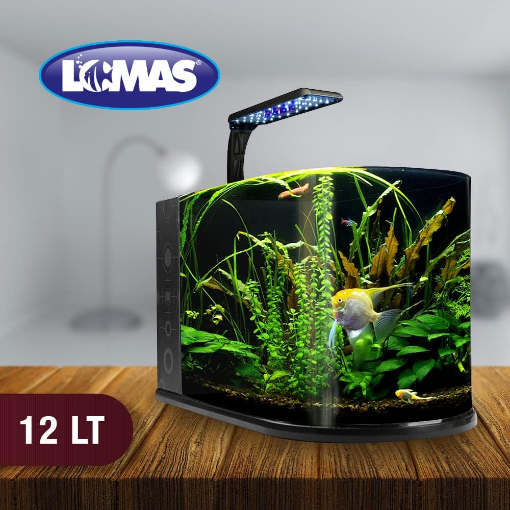 Lomas Acuario Nano Bullet