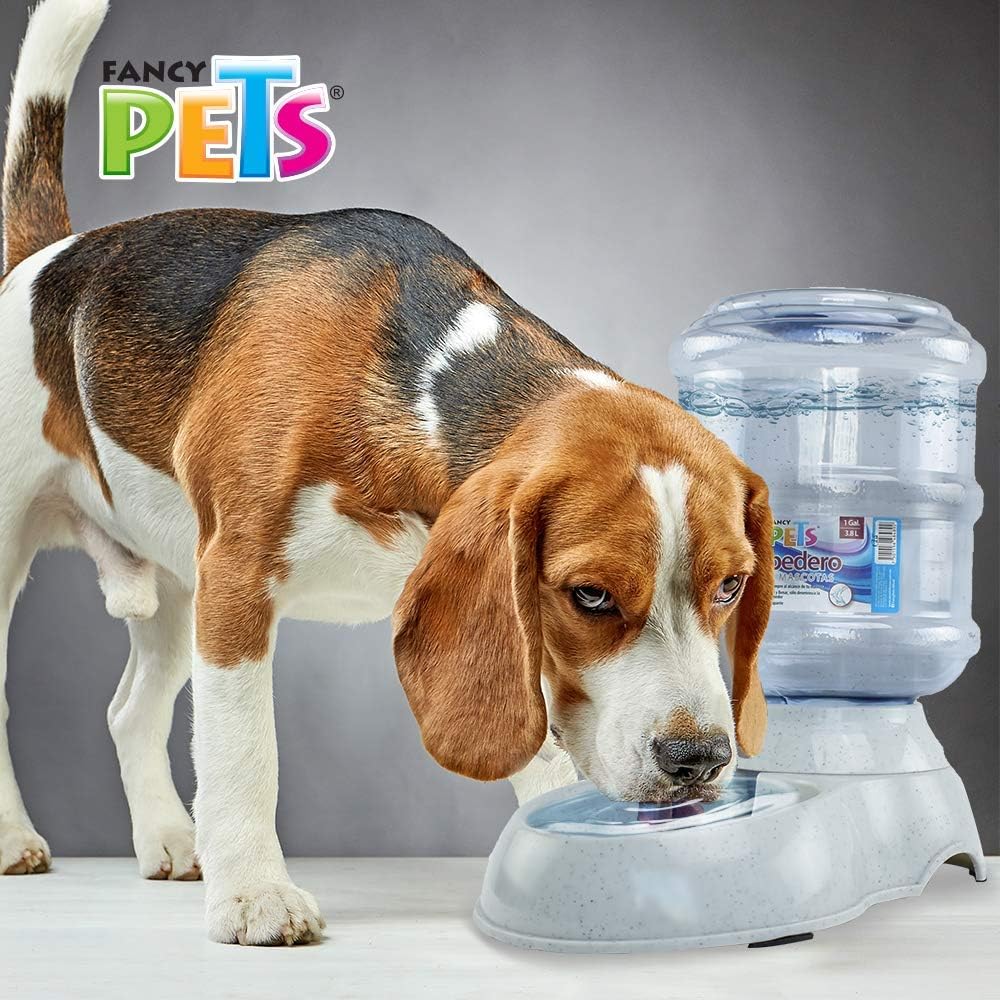 Fancy Pets Bebedero de Agua Para Perro o Gato - Petopia