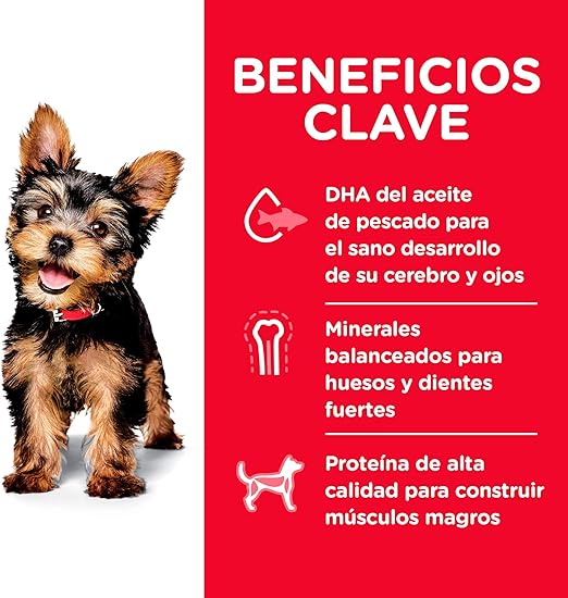 Hill's Science Diet, Alimento para Perro Puppy (Cachorro) Raza Pequeña, Seco (bulto)