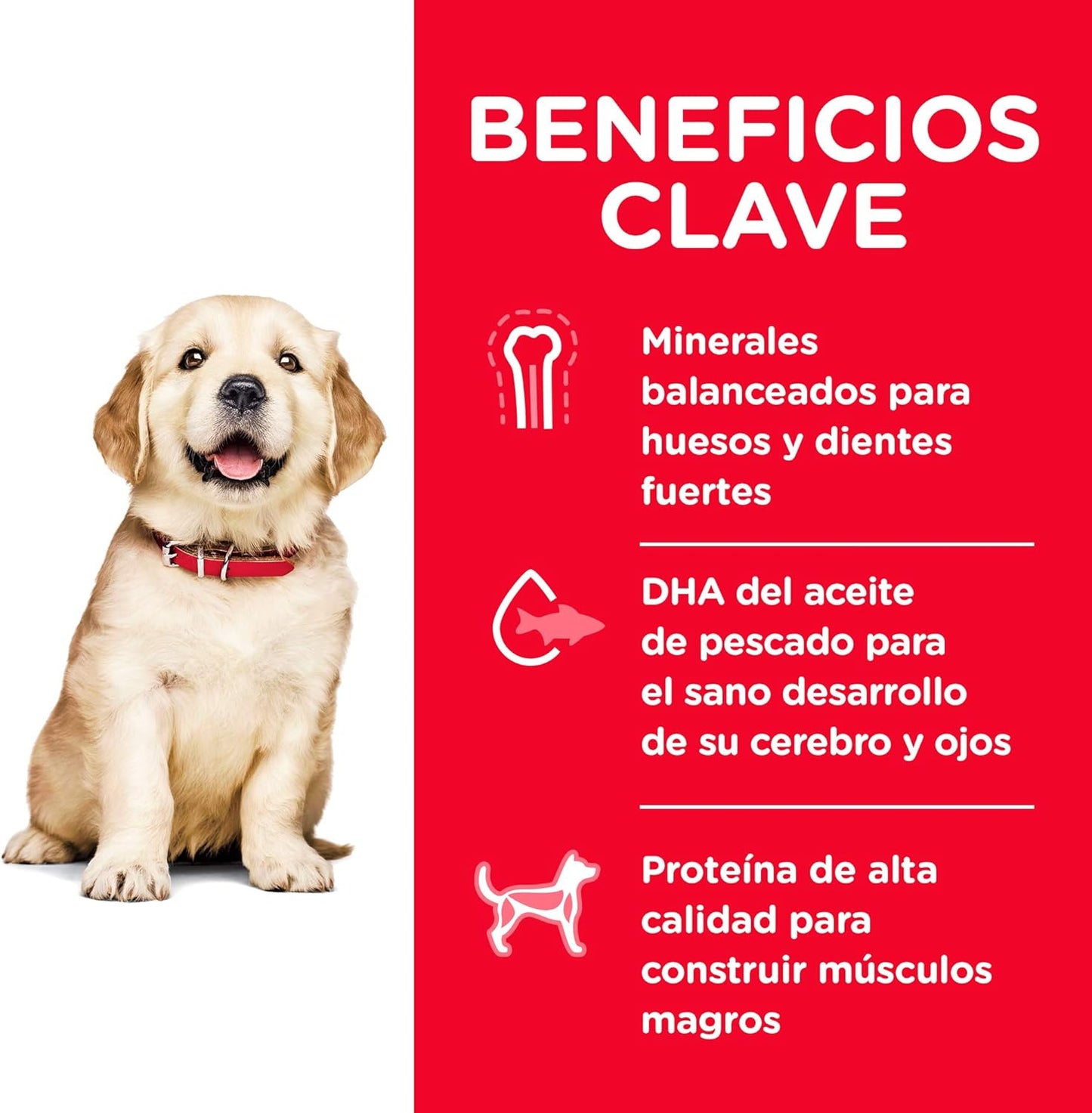 Hill's Science Diet, Alimento para Perro Puppy (Cachorro) Raza Grande, Seco (bulto)