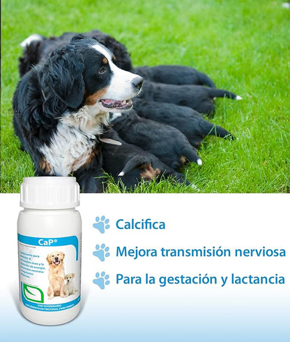 Ruiland Ca-P - Suplemento Alimenticio para Perros, Mantenimiento del Metabolismo Óseo, Regulador de Energía, Deficiencia de Calcio y Fósforo, Ingredientes Naturales, 60 tabletas masticables