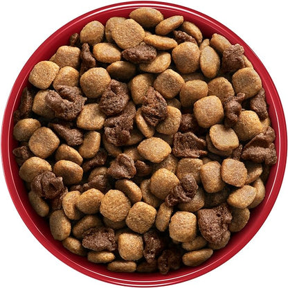 ONE Adulto Mini Pequeno Cordero 7 kg