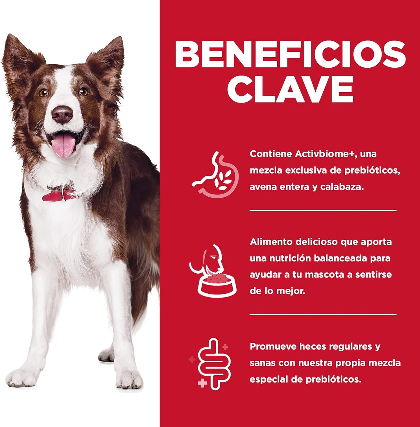 Hill's Science Diet Alimento Seco para Perro Adulto, Digestión Perfecta Receta de pollo, cebada y avena integral